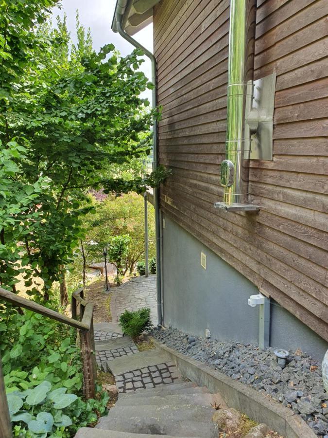 River Mosel Holiday Homes, Meerfeld Studio With A Lake View Bagian luar foto