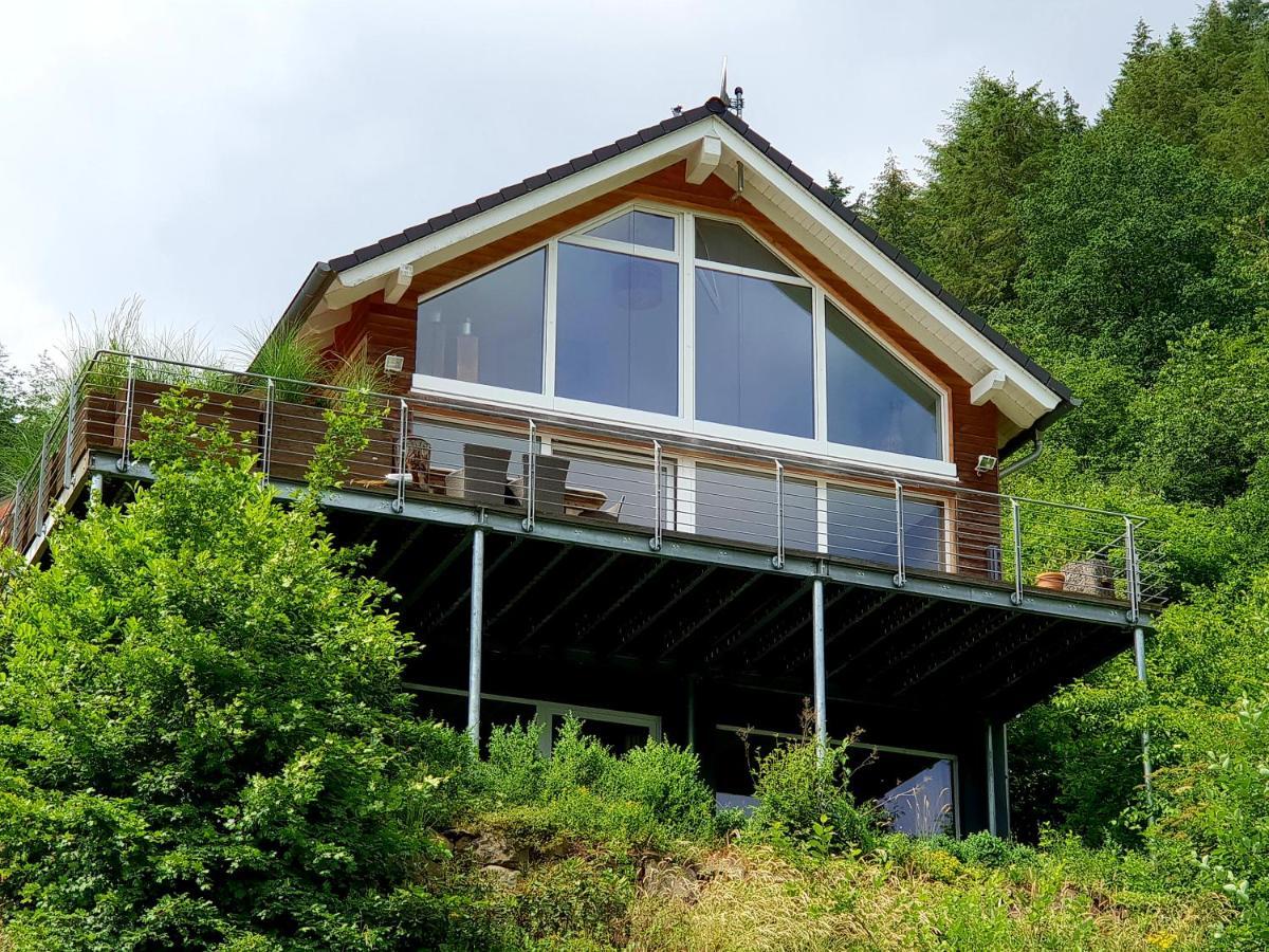 River Mosel Holiday Homes, Meerfeld Studio With A Lake View Bagian luar foto