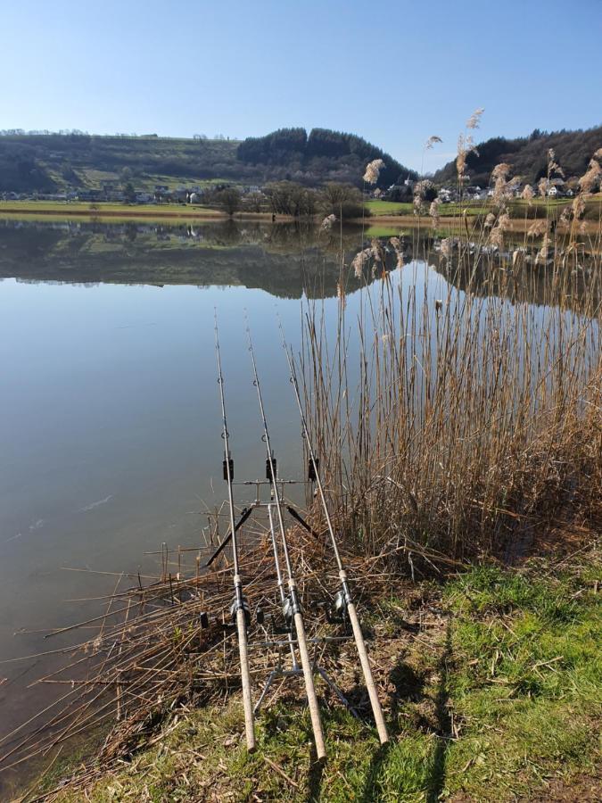 River Mosel Holiday Homes, Meerfeld Studio With A Lake View Bagian luar foto