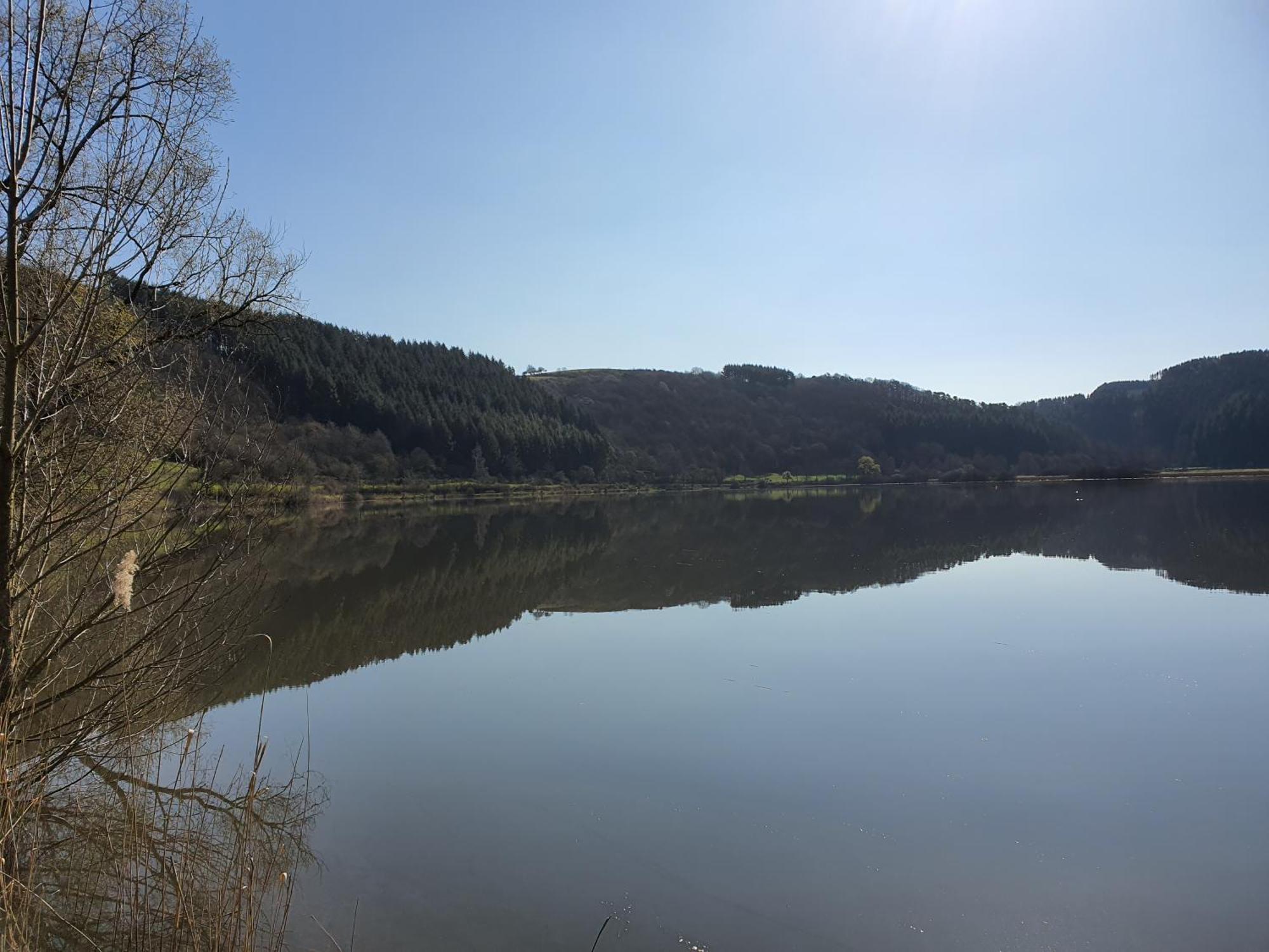 River Mosel Holiday Homes, Meerfeld Studio With A Lake View Bagian luar foto