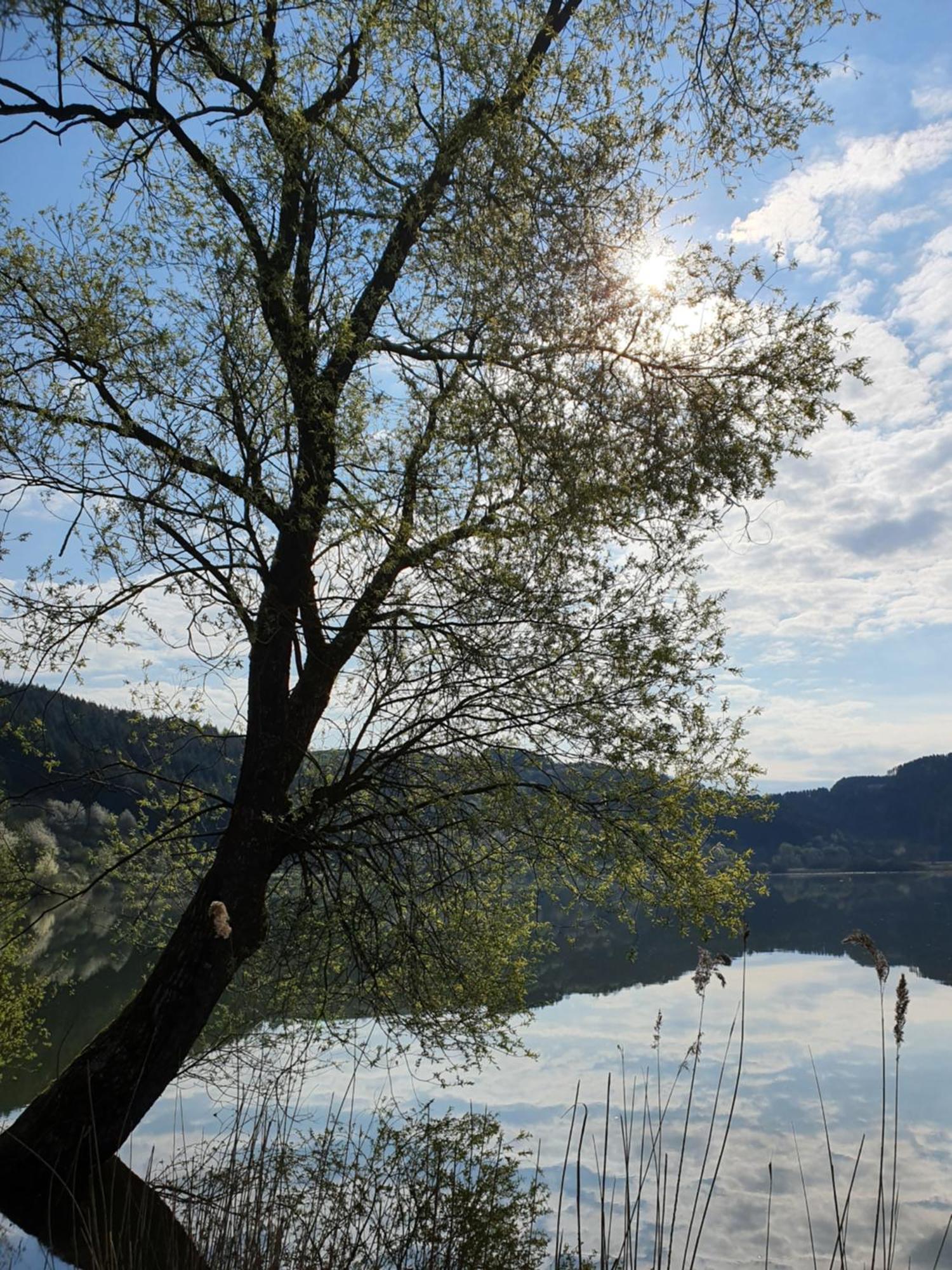 River Mosel Holiday Homes, Meerfeld Studio With A Lake View Bagian luar foto