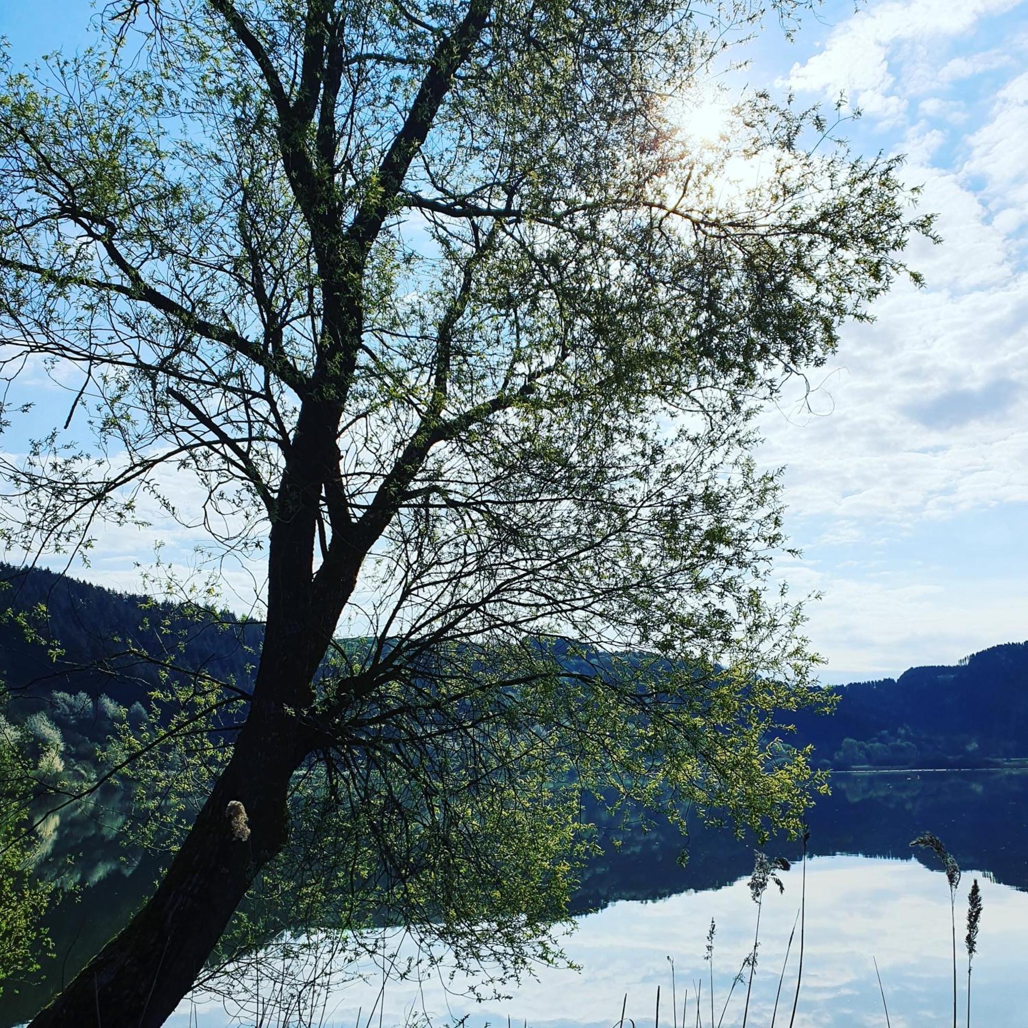 River Mosel Holiday Homes, Meerfeld Studio With A Lake View Bagian luar foto