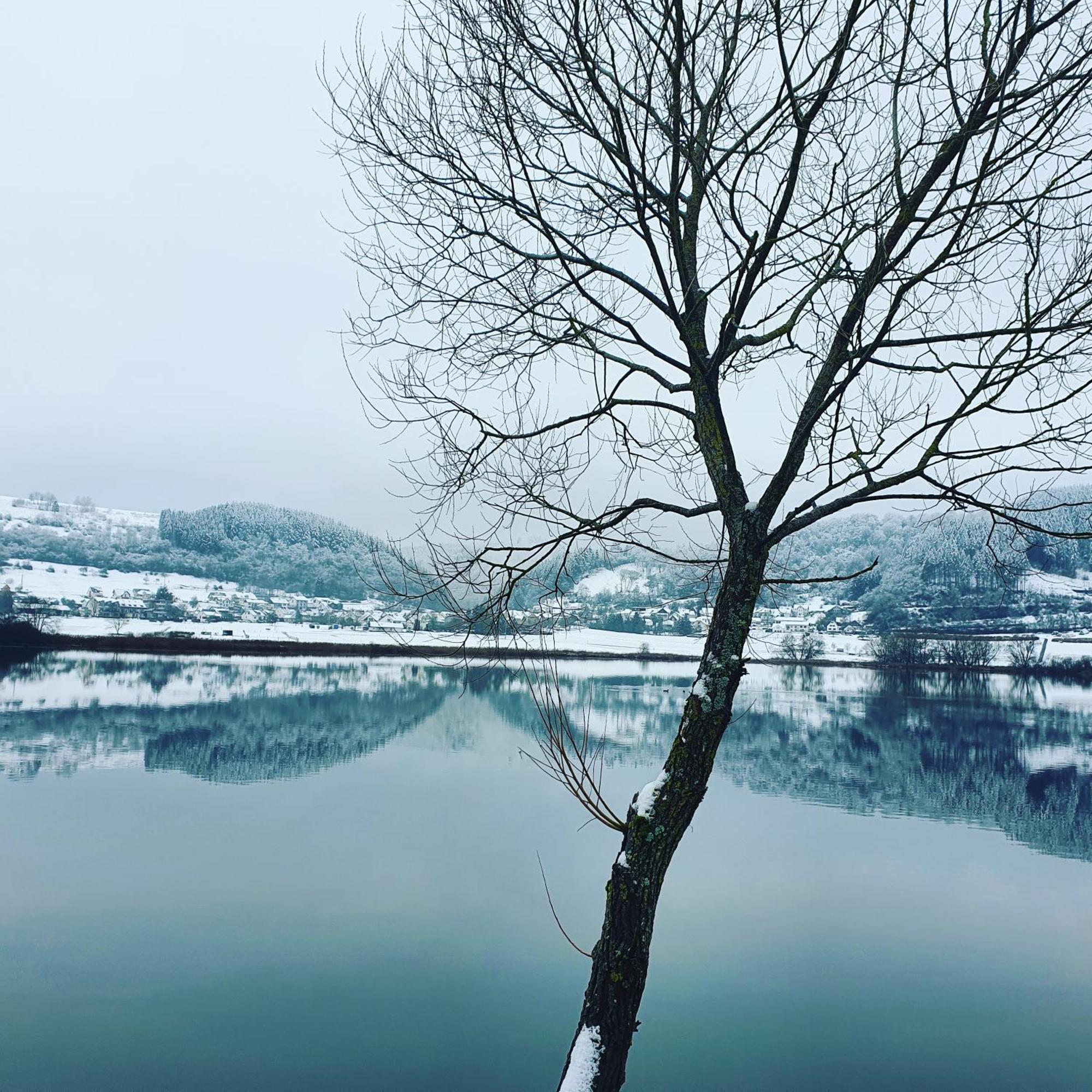 River Mosel Holiday Homes, Meerfeld Studio With A Lake View Bagian luar foto