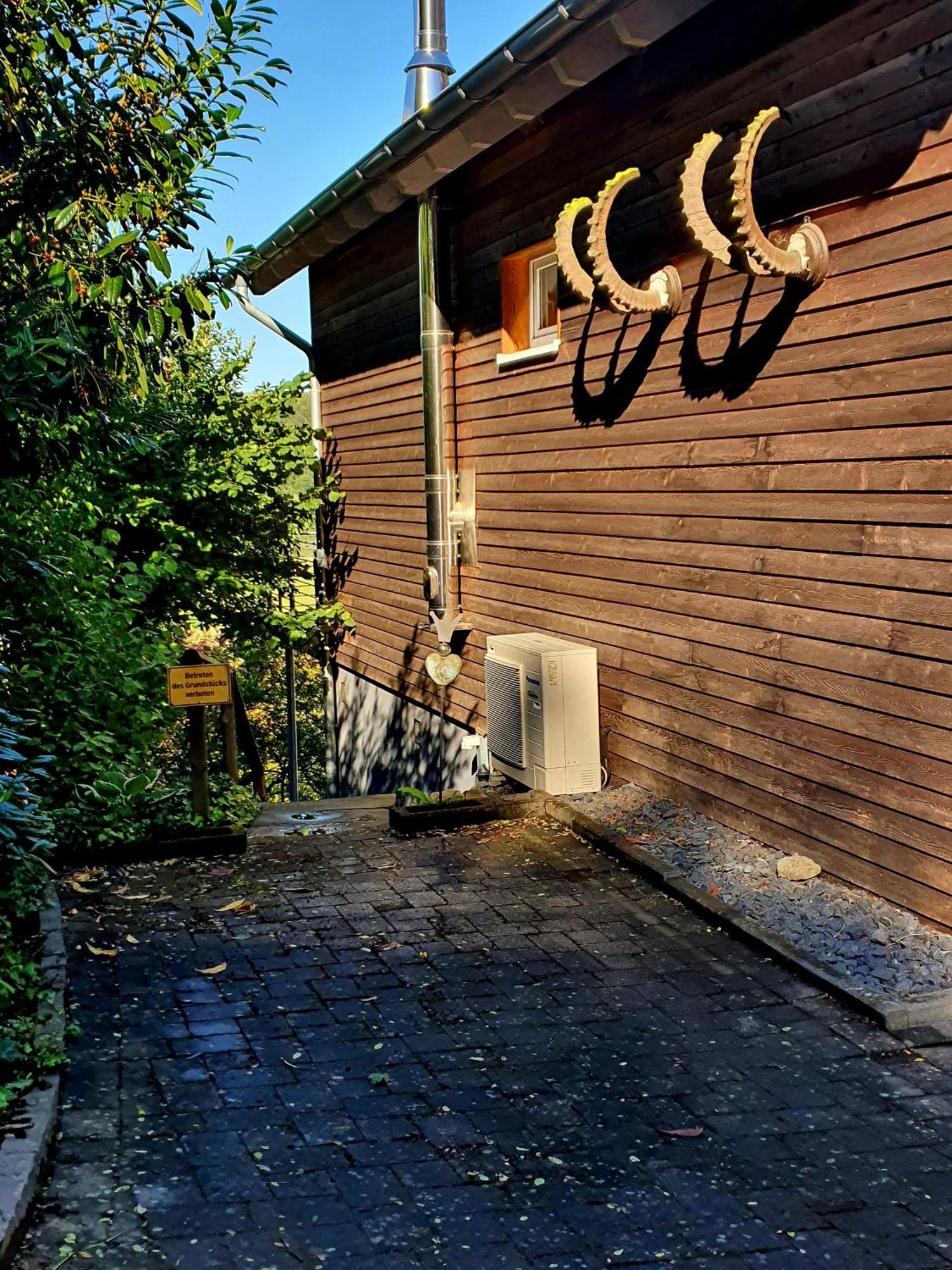 River Mosel Holiday Homes, Meerfeld Studio With A Lake View Bagian luar foto